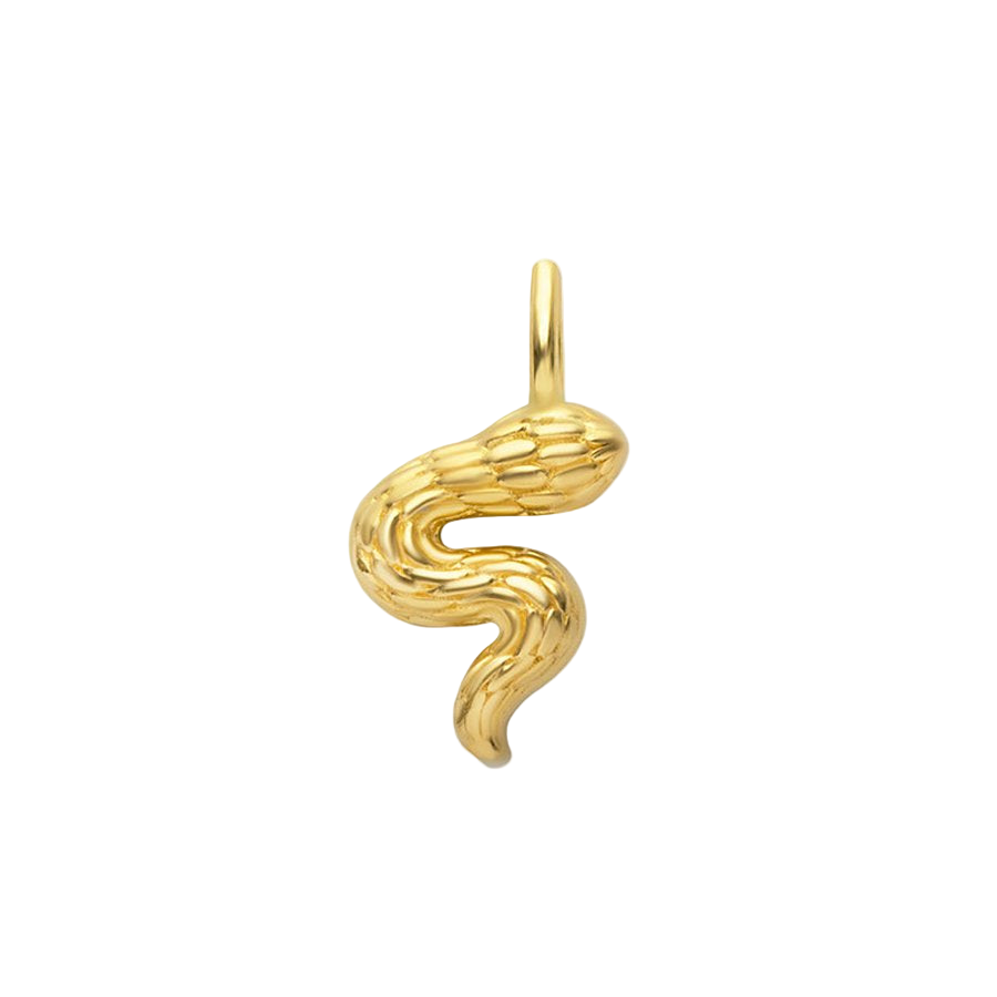 Minimal Yılan Charm